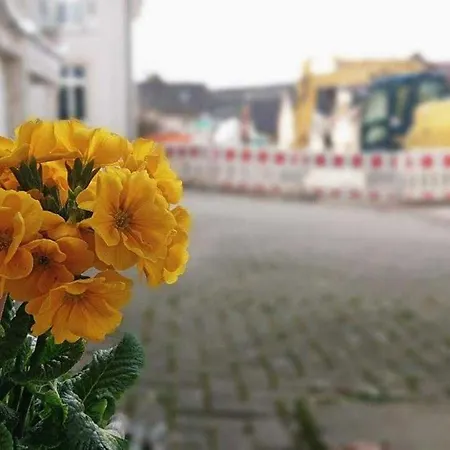 Ferien Im Heckenland Кенцинген