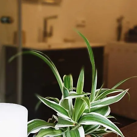 Апартаменты Ferien Im Heckenland Кенцинген